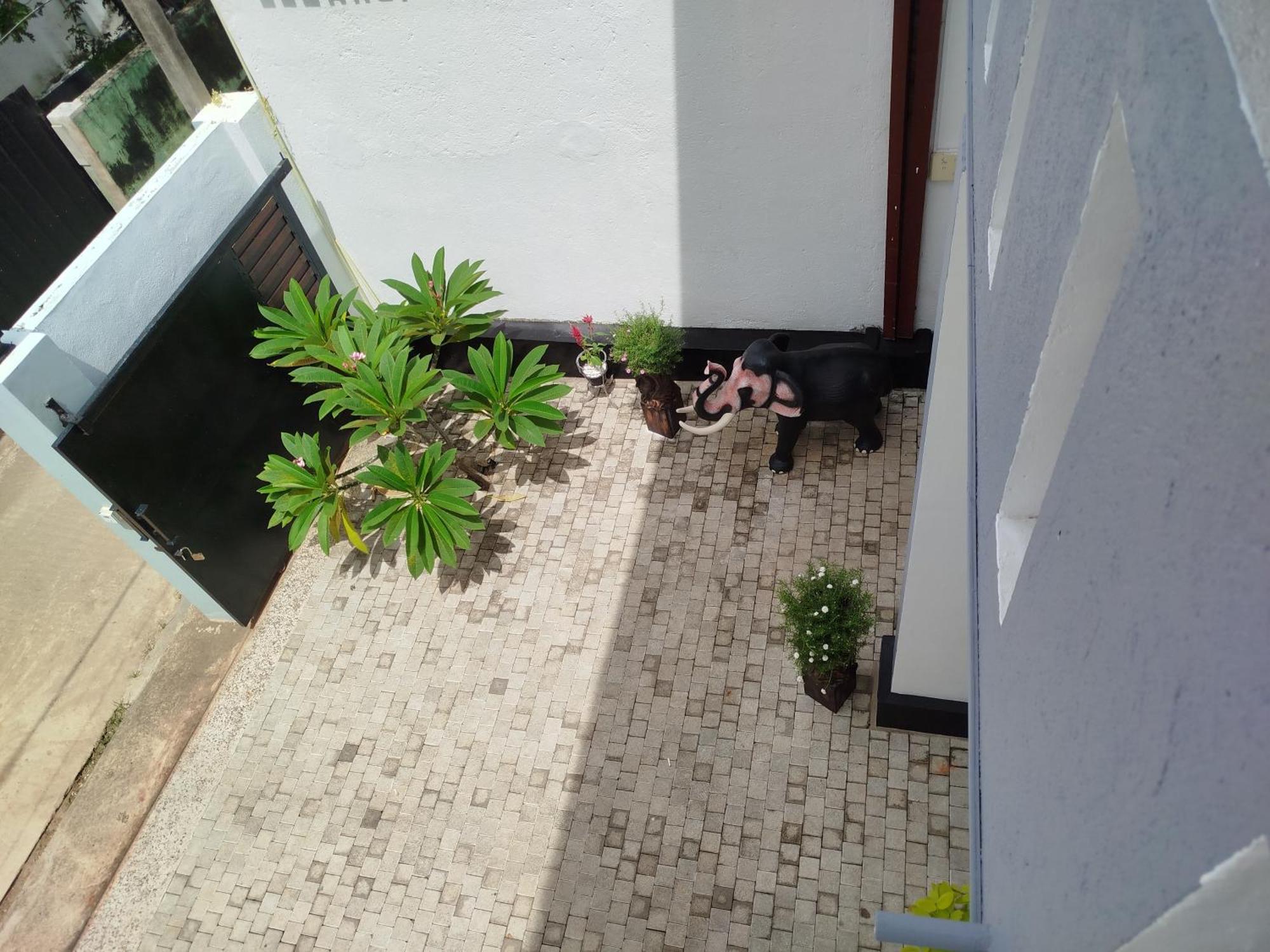 Elzangi Hotel Negombo Phòng bức ảnh
